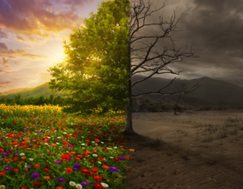 Choosing Between Life and Death Choosing Between Life and Death